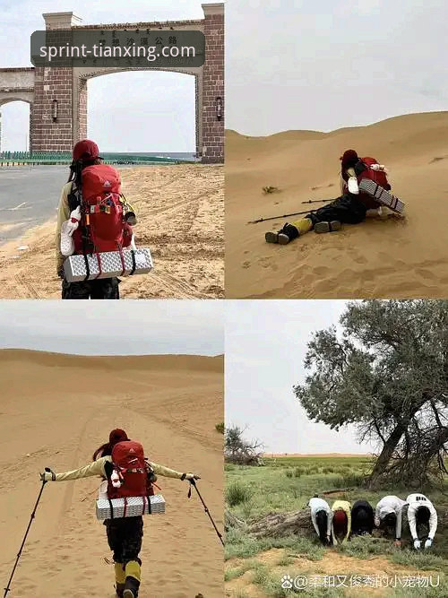 天行体育观赛体验官方下载 资深用户分享:如何在天行体育平台追踪“沙漠大满贯”的意外插曲与观赛策略