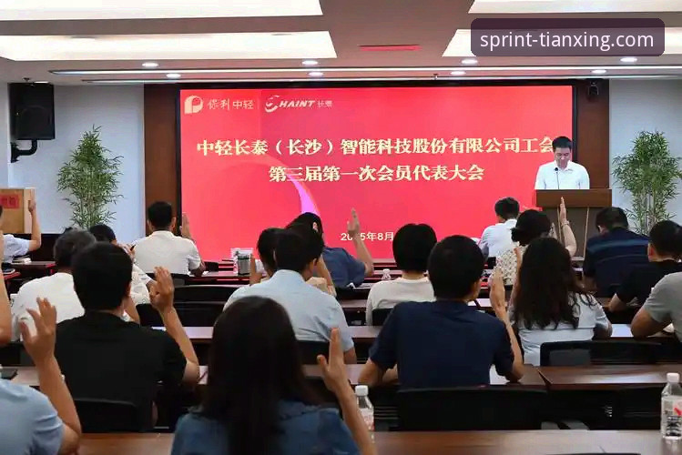 天行体育数据统计功能深度解析与实战应用教程